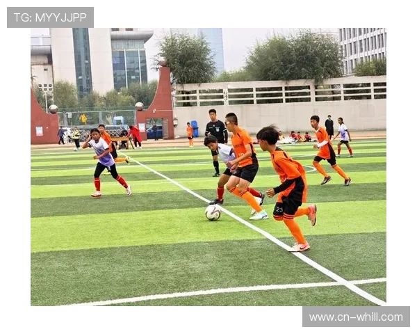 校园赛事体系逐步完善 夯实青少年体育基础